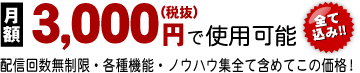 月額3,150円で使用可能