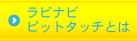 ��ԥʥӤȤ�