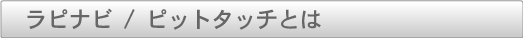 ��ԥʥӤȤ�